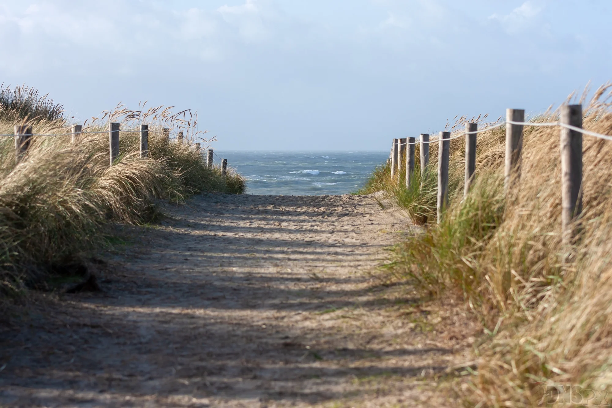 Sandiger Weg zwischen Dünen zum Meer